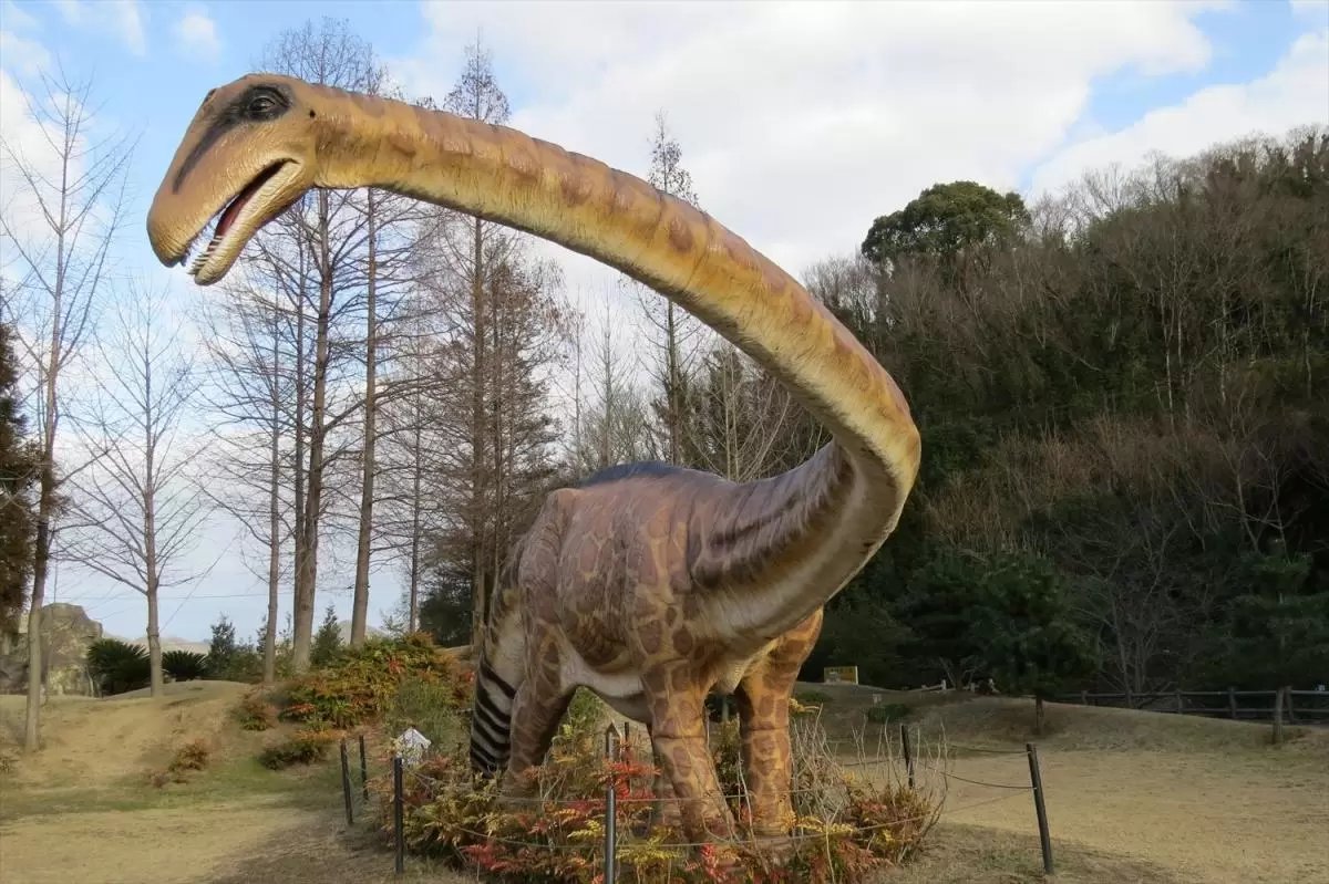 🏞️ 노시로 에나지움 파크 이미지 9